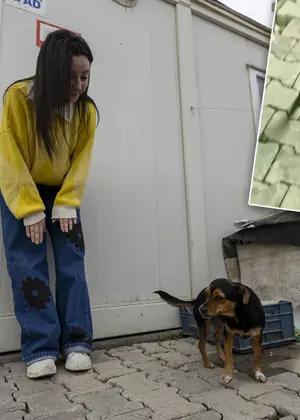 Bu video 30 milyon izlendi. "Hanimiş benim tontişim" ile tanınıyor