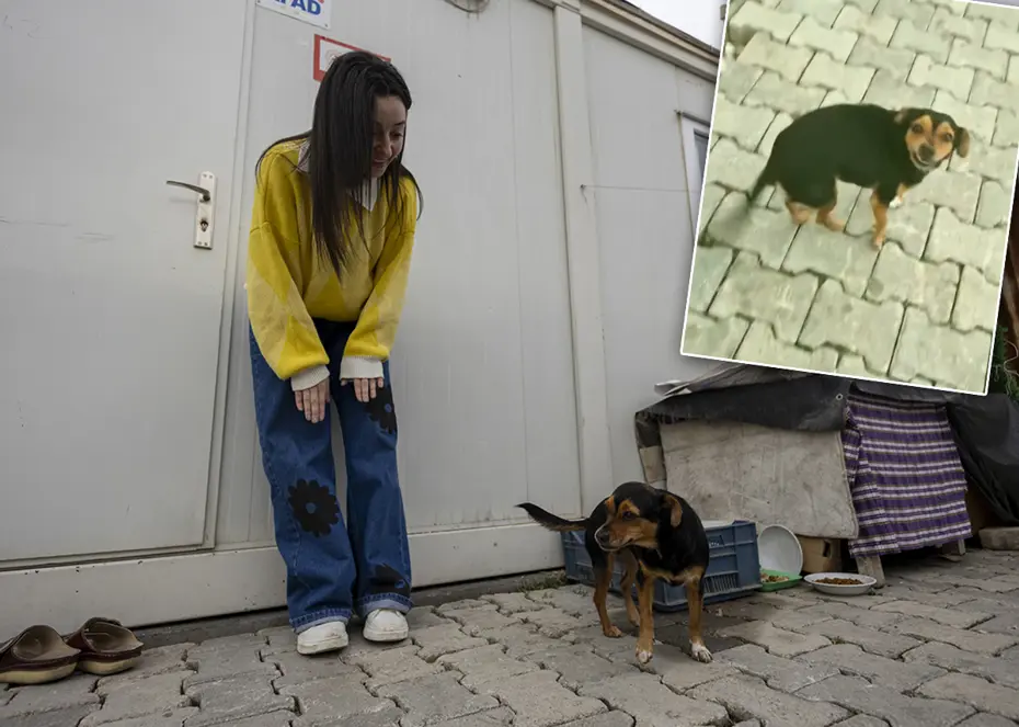 Bu video 30 milyon izlendi. “Hanimiş benim tontişim” ile tanınıyor. “Herkes Boncuk’u görmek için ulaşıyor”