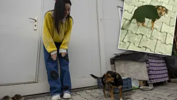 Bu video 30 milyon izlendi. "Hanimiş benim tontişim" ile tanınıyor. "Herkes Boncuk'u görmek için ulaşıyor"