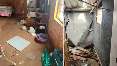 Kış uykusu bitti, ayılar evlere adandı. Tehlike tırmanıyor, vatandaş önlem talep ediyor