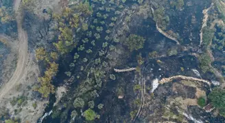 Seydikemer orman yangınında acı tablo