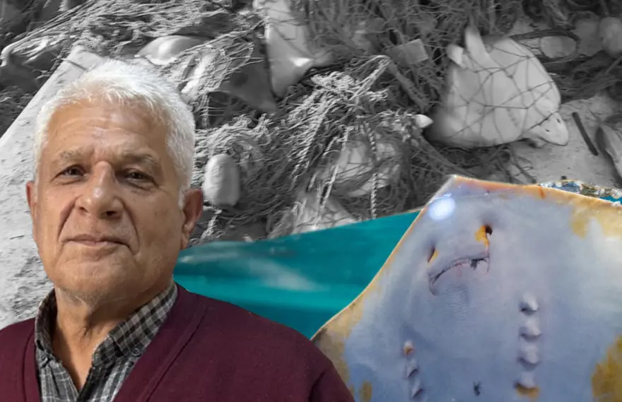 Kırmızı listede yer alıyor. Antalya'da ağlara takıldı, bilim insanı da şaşırdı 