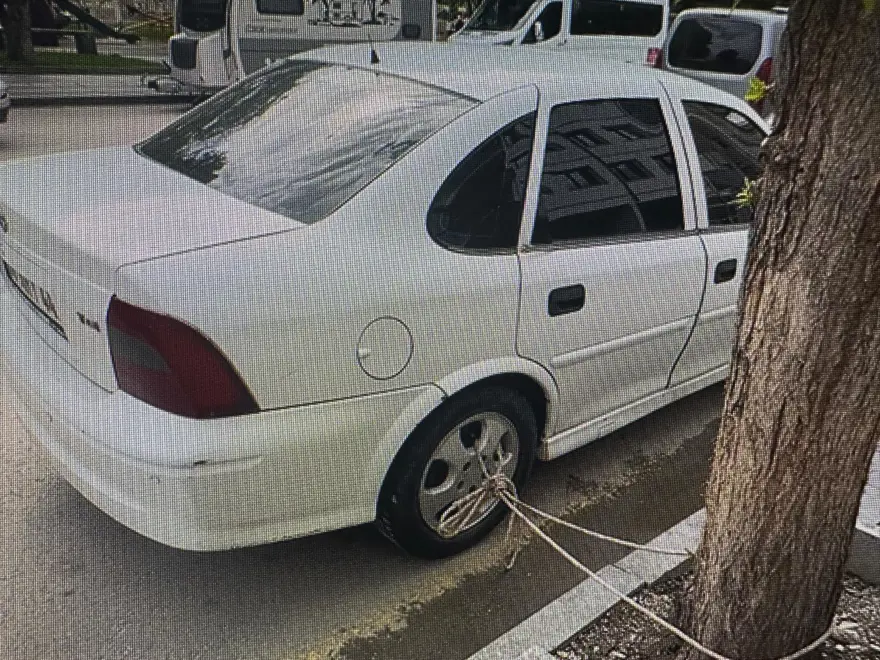 Selden korktu arabasını ağaca bağladı. Tokat sele hazırlanıyor Selden korktu arabasını ağaca bağladı. Tokat sele hazırlanıyor