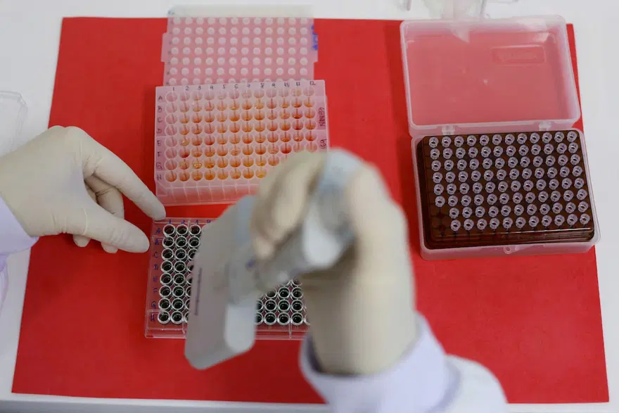 İlk kez bir memelide H5N1 kuş gribi tespit edildi 1