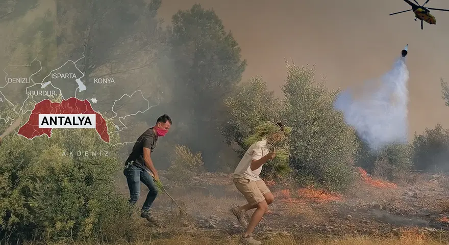 Adana, Antalya ve Mersin'de orman yangını. Alevlerle mücadele sürüyor, yüzlerce ev tahliye edildi