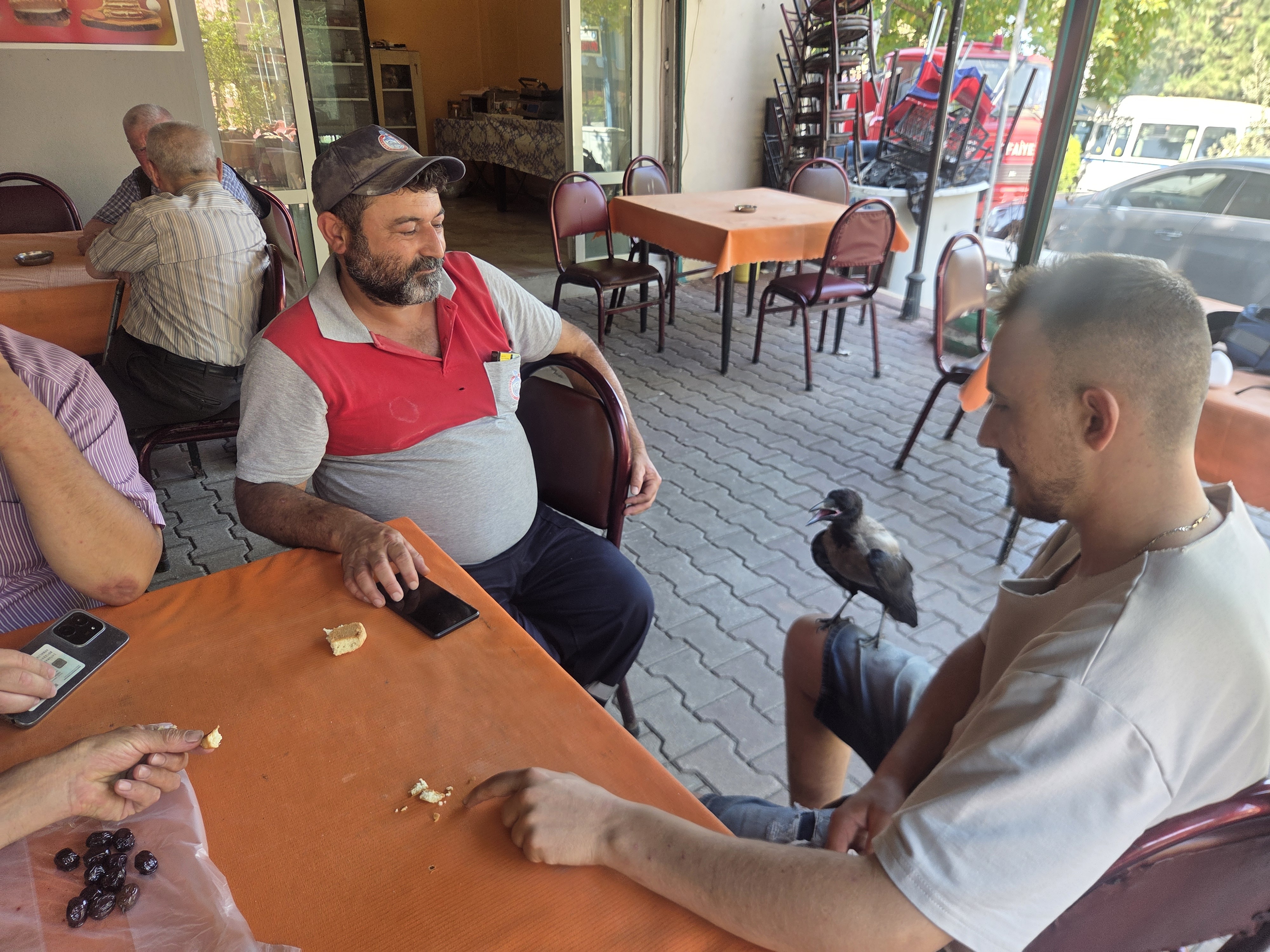 Bursa'da sıra dışı dostluk. Yaralıyken iyileştirdi, artık peşinden ayrılmıyor