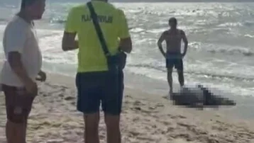 Yattan düşen iş insanının cesedi sahilde bulundu
