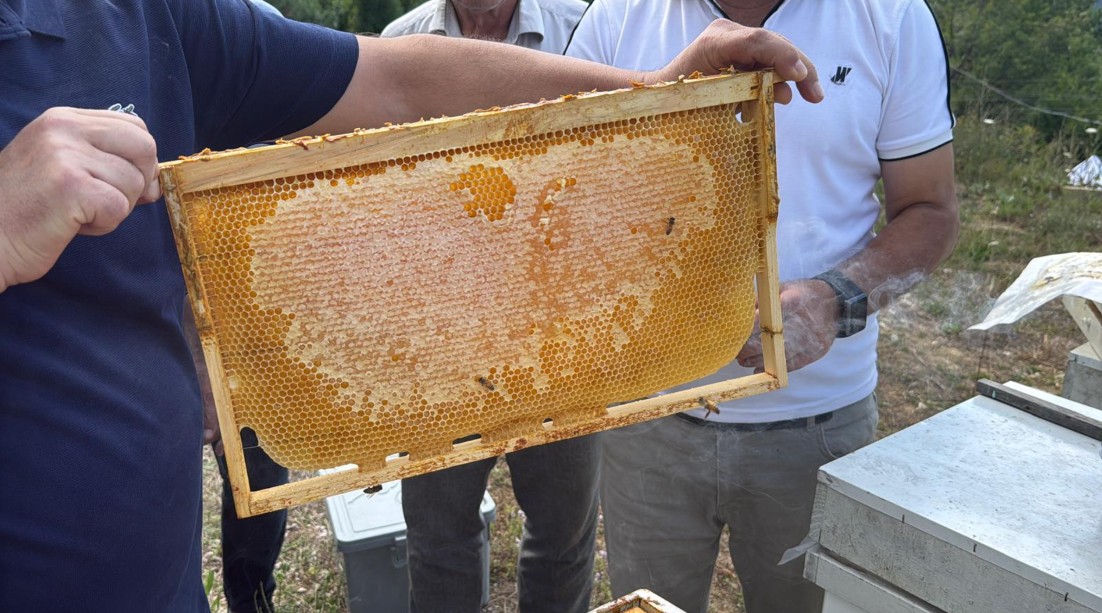 Şöhreti ülkeyi aştı. 850 gramlık kavanozları 1250 liradan satılacak