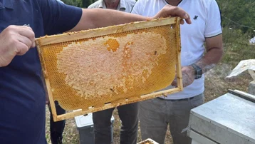 Şöhreti ülkeyi aştı. 850 gramlık kavanozları 1250 liradan satılacak