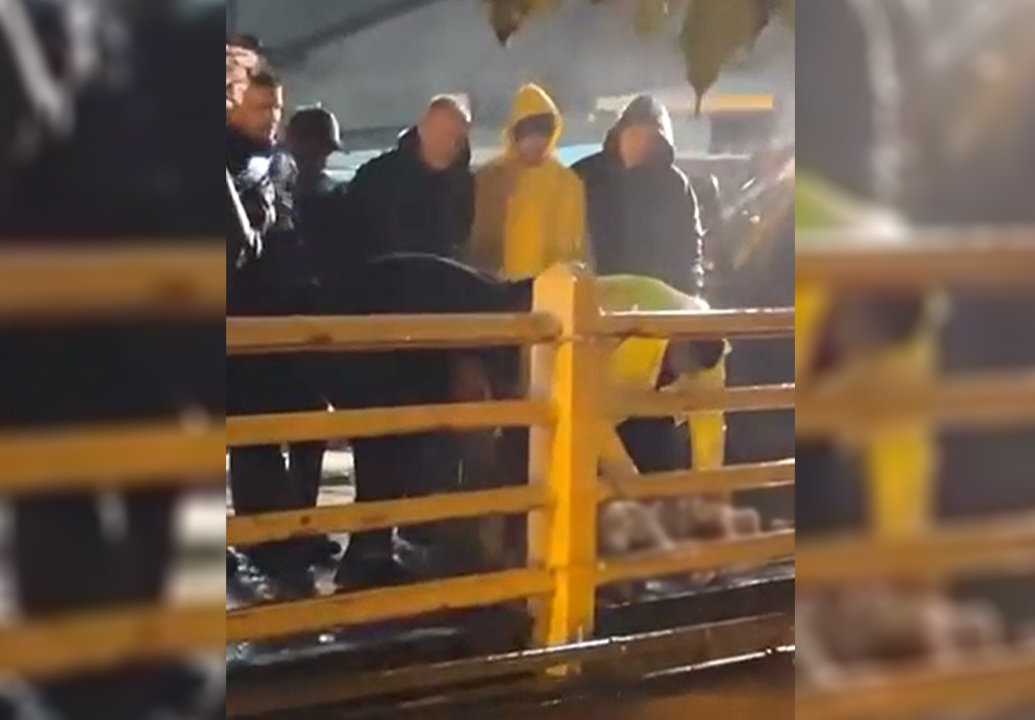 Yalova'da şaşırtan görüntü. Yağmur dursun diye kurban kestiler