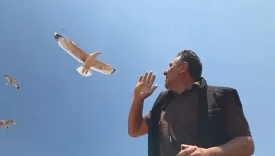 Anten tamiri için çatıya çıktı, martılar yaraladı. "Pike yaparak arkamdan saldırdılar"