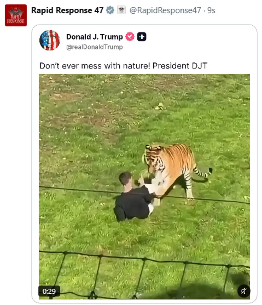 Donald Trump'ın paylaştığı kaplan saldırısı videosu sosyal medyada büyük tepki topladı