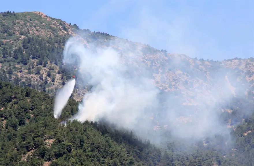 Uyuşturucu tacirleri ormanı yaktı 4 Uyuşturucu tacirleri ormanı yaktı 4
