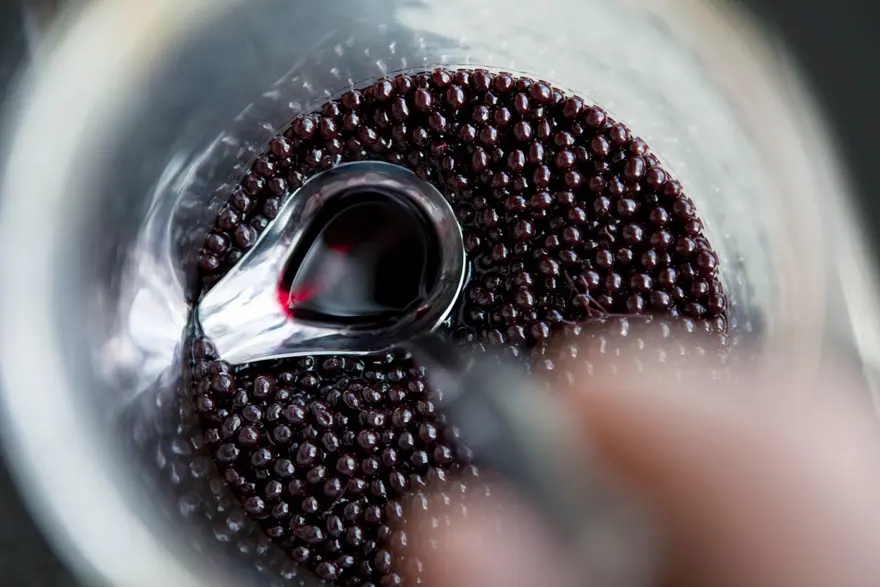 Orta Çağ Avrupa'sında uzun yaşamın sırrı olarak biliniyordu: Mürver gerçekten sağlıklı mı? 1