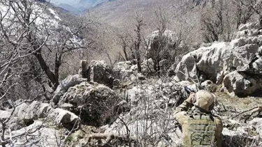 Yıldırım-7 Lice Narko-Terör operasyonu başlatıldı
