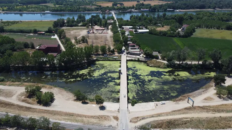 Debi düştü, Tunca Nehri yosunla kaplandı 11