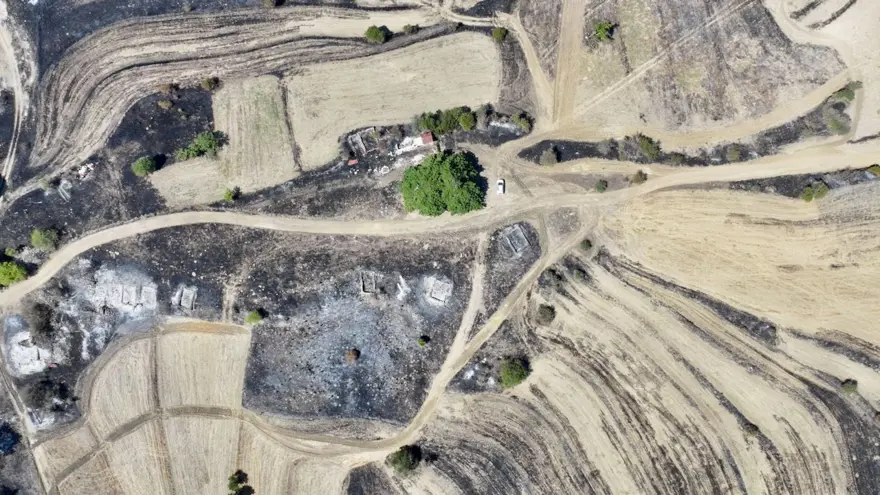 Alevlertüm köyü sardı, köylüler asırlık ağacı korumak için seferber oldu 