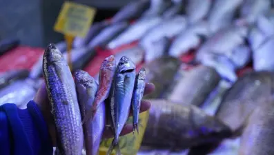 Bolluk müjdesi: Bu yıl 2 çeşit de tezgahta olacak