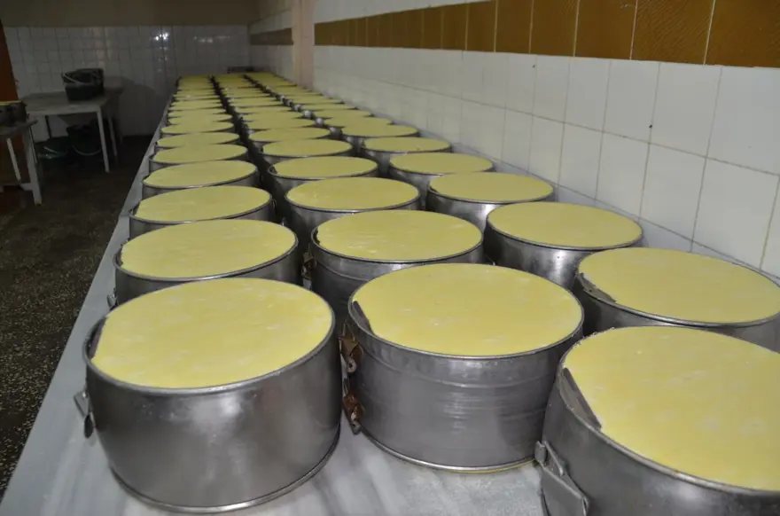 Girişimci 5 kardeş tesis kurdu şimdi ülkenin dört bir yanına pazarlanıyor 6