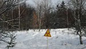 "Nükleer felaketten 30 yıl sonra halk hala radyoaktif gıdayla besleniyor"