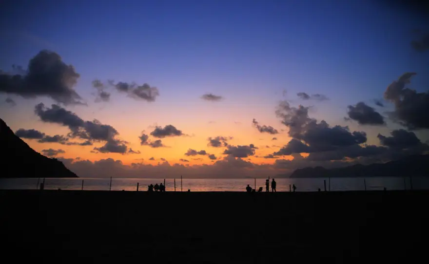 35 bin yavru caretta caretta denizle buluştu 8