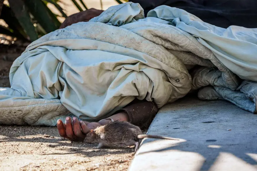 ABD'de evsizlerin oranı rekor kırdı: 2024'te yüzde 18 arttı 3