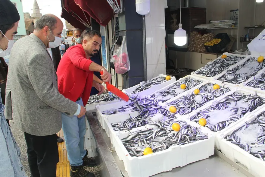 Hamsininkilosu 10 liraya düştü 7