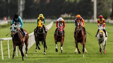 At yarışlarında Cumhuriyet ve Cumhurbaşkanlığı koşuları yapıldı