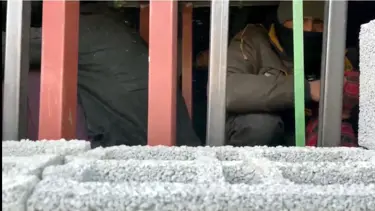 Briket yüklü TIR'dan 31 kaçak göçmen çıktı