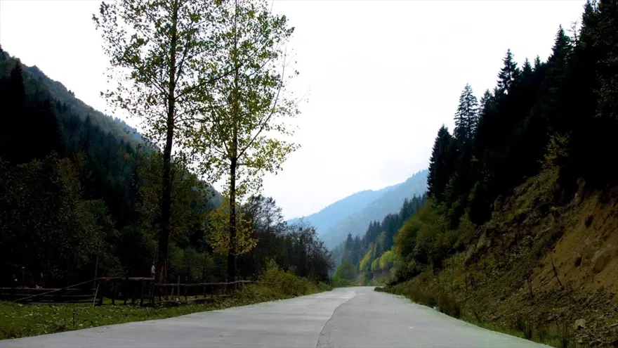 Karadeniz'de yolculuk yeşile dönüyor (Yeşil yol projesi) 14