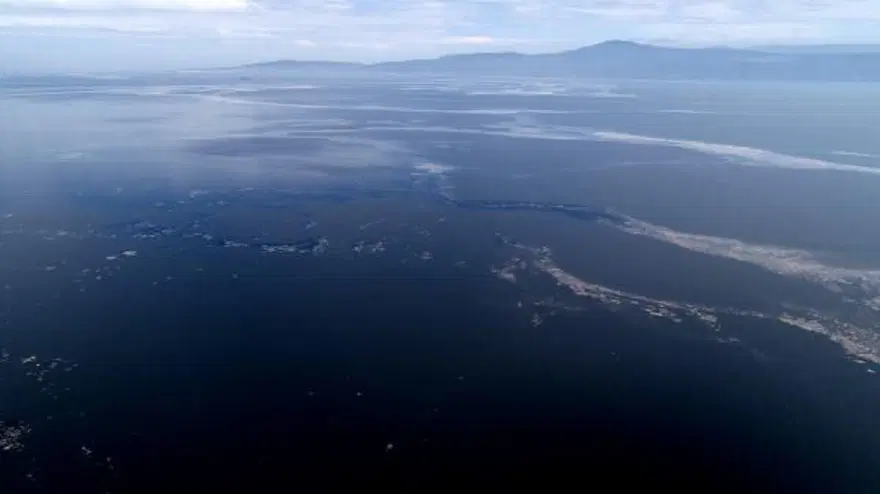 Deniz salyasıyla kaplanan Mudanya Yat Limanı, havadan görüntülendi 12