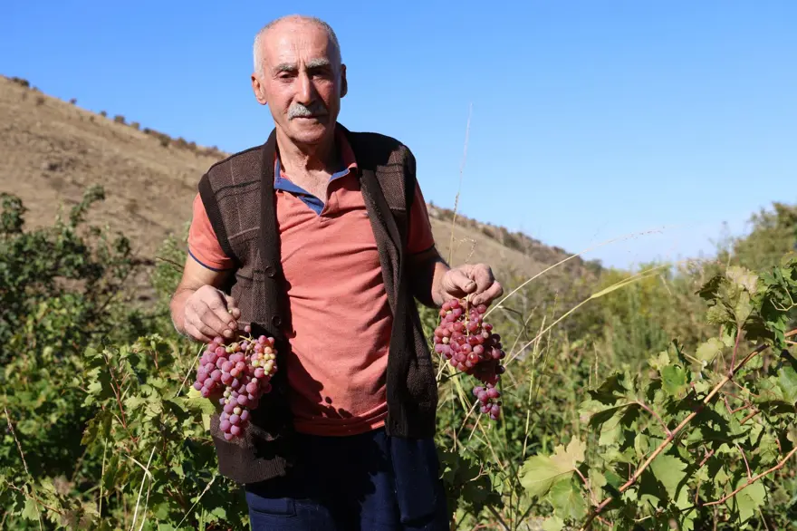 Orcik mesaisi başladı: Özel toprakla mayalanıyor 1