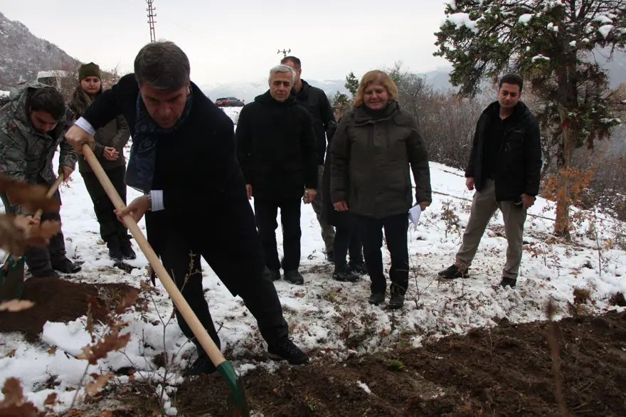Anadolu'da varlığı sona ermişti! Avrupa'dan Amasya'ya getirildi: Türk uzmanlar 30 yıldır peşinde 5