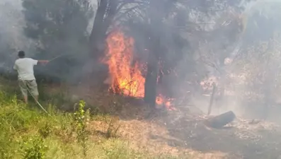 Erdek'te orman yangını