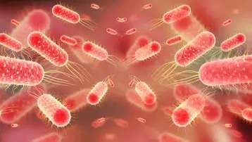 Hong Konglu 6 turistte dizanteri: Restoranda yedikleri mi hasta etti?