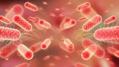 Hong Konglu 6 turistte dizanteri: Restoranda yedikleri mi hasta etti?