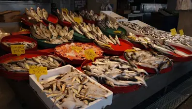 Tezgahların en pahalı balığı çupra oldu