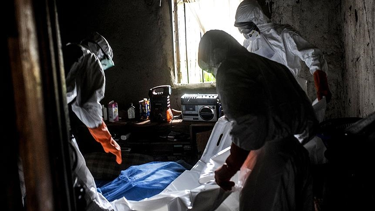 Çin'de şarbon alarmı: 5 insan vakası tespit edildi