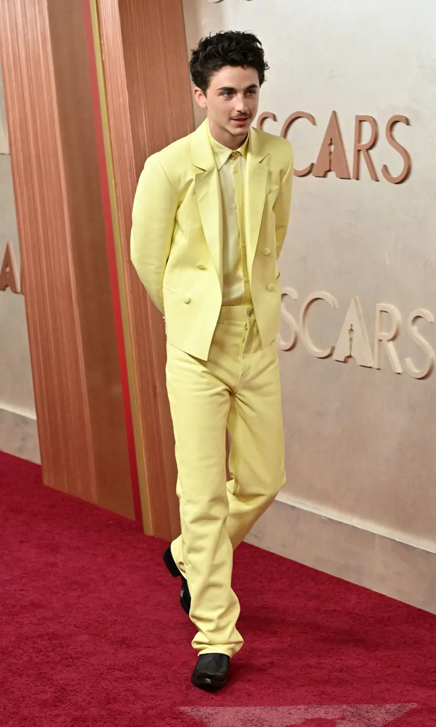 Oscar Ödülleri'nin kırmızı halısında şıklık yarışı! Gecenin en iyi görünümleri 9