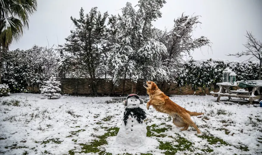 Antalya’ya 29 yıl sonra kar yağdı 39 Antalya’ya 29 yıl sonra kar yağdı 39
