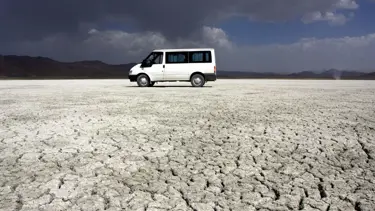 Flamingolar Van'a geri döndü