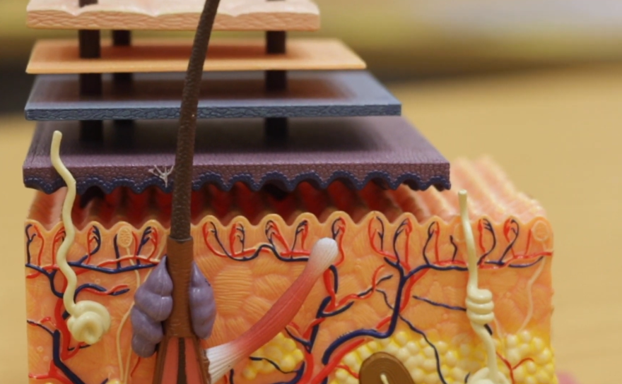 İnsan benzeri dokunma hissine sahip 3D baskılı parmak ucu geliştirildi 2