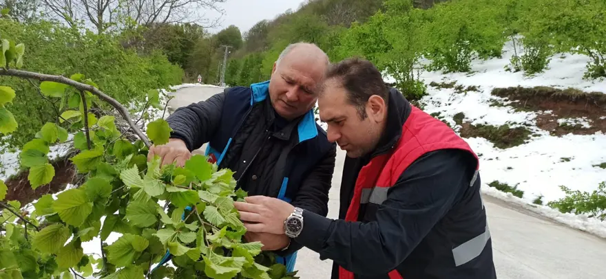 ÇİFTÇİLERE SİGORTA UYARISI 4