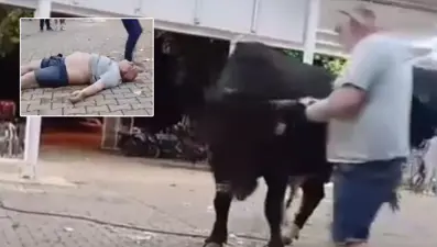 Tanıtımı yapılan boğaya para atarken boynuz darbesiyle yaralandı