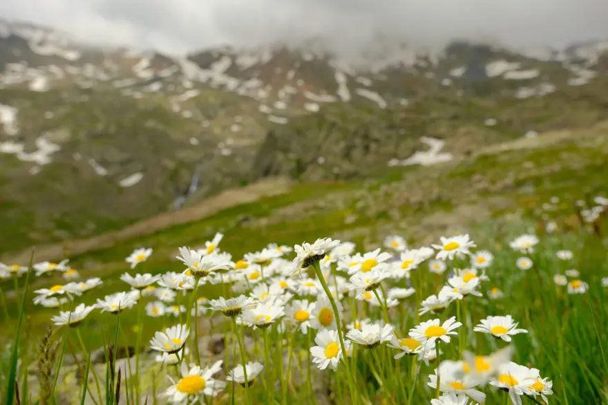 Gümüşhane'nin Artabel Gölleri'nden nefes kesen manzaralar: Osmanlı-Rus Harbi'nden kalma tarihi kalıntılar da var 