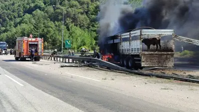 Hayvan yüklü TIR yandı, otoyol kapandı