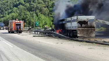 Hayvan yüklü TIR yandı, otoyol kapandı