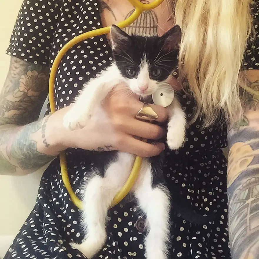 Hayatını kedileri kurtarmaya adadı 217