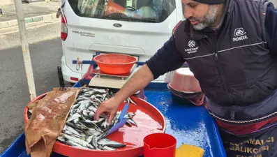 Hamsi 150 lira, istavrit 100 lira: "Önümüzdeki günler daha bereketli geçecek"
