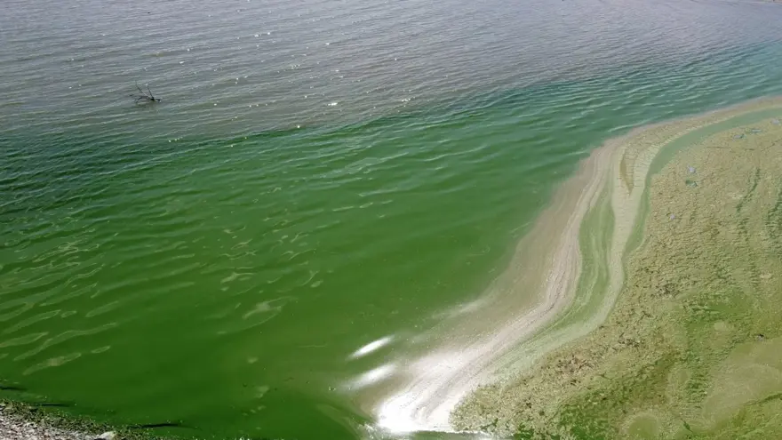 Baraj suyunun rengi yeşile döndü (İşte nedeni) 3